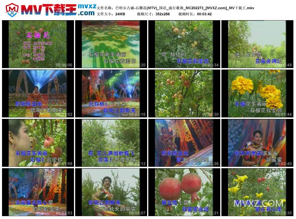 巴哈尔古丽-石榴花(MTV)_国语_流行歌曲_MC202273